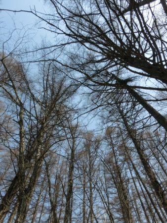 f:id:imawac:20140427102301j:image:h360