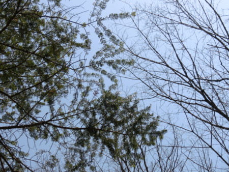 f:id:imawac:20140427104610j:image:w360