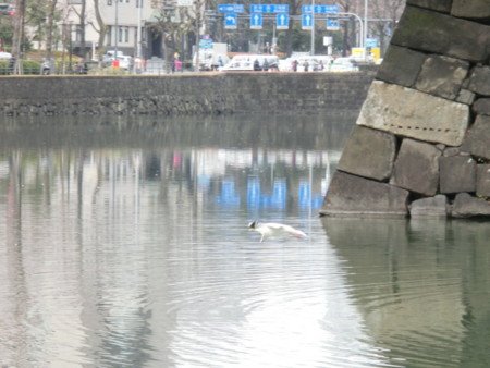 f:id:imawac:20150124121112j:image:w360