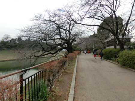 f:id:imawac:20150124142059j:image:w360