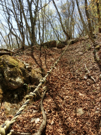 f:id:imawac:20150502104844j:image:w240