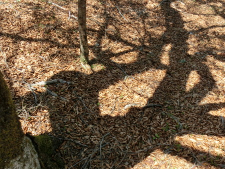 f:id:imawac:20150502114513j:image:w360