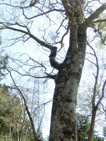 f:id:imawac:20150502134616j:image:h360
