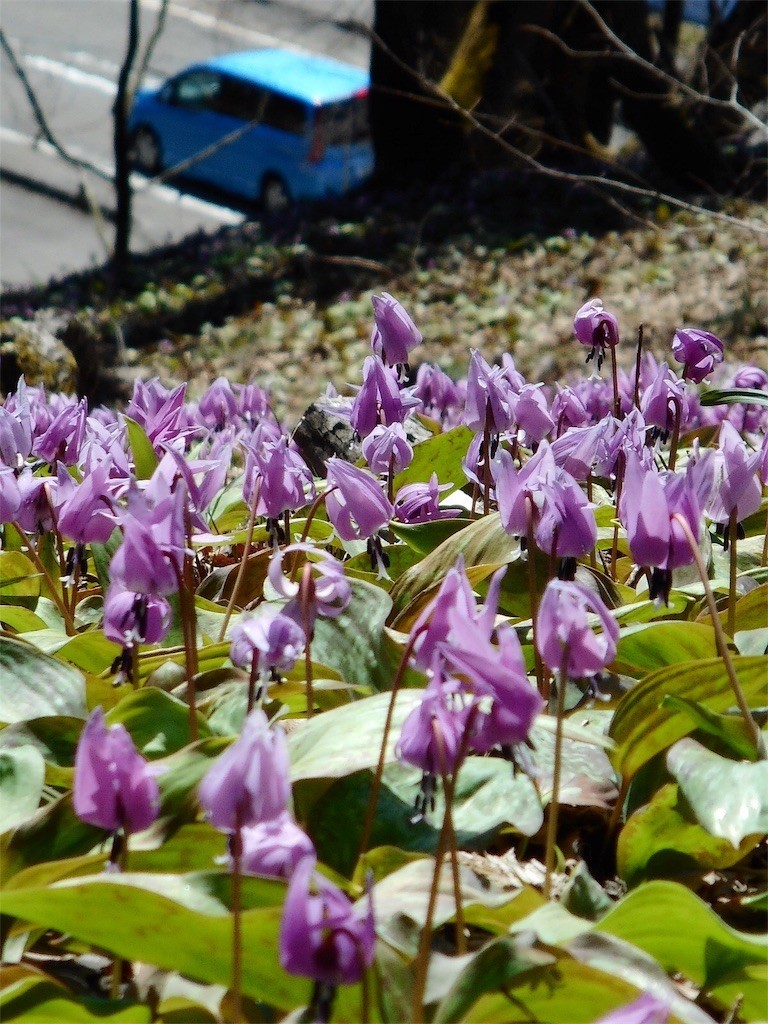f:id:imawac:20190414204312j:image