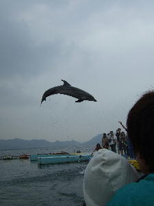 f:id:imayan:20081105224224j:image