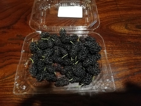 桑の実を食べたよ ラズベリーみたいな味だな ダメラボ