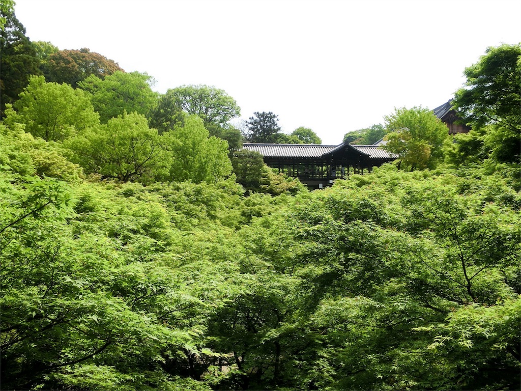 f:id:imimch:20180509081406j:image f:id:imimch:20180509081406j:image