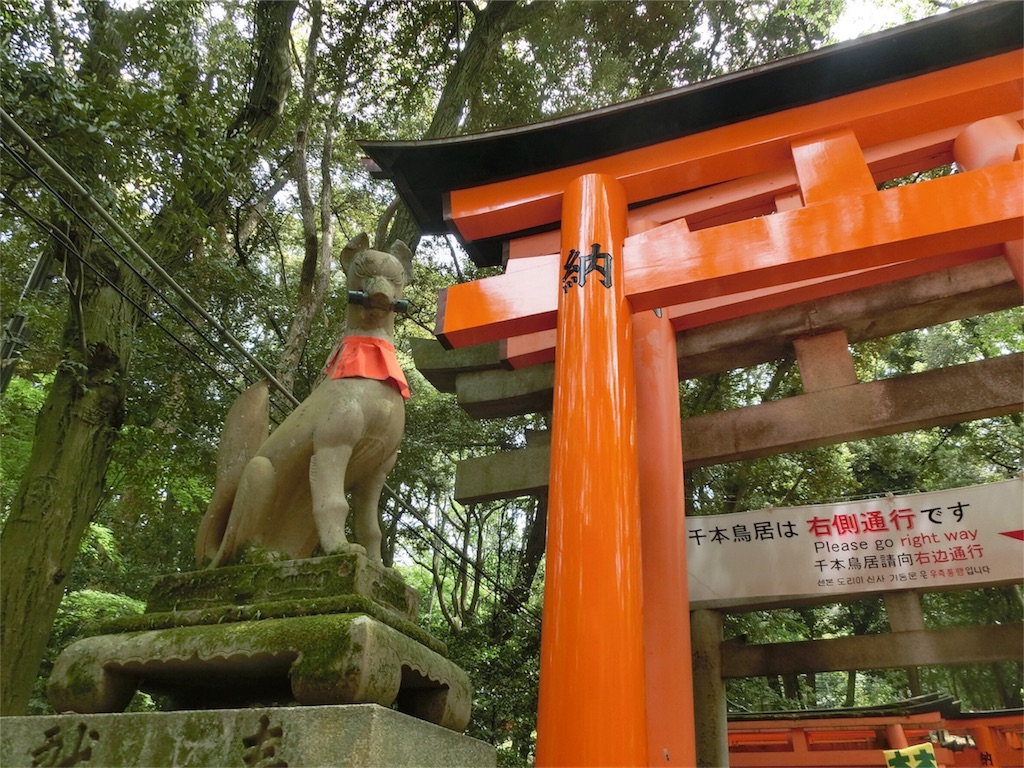 f:id:imimch:20180509082048j:image f:id:imimch:20180509082048j:image