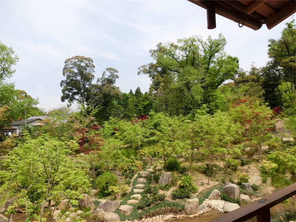 f:id:imimch:20180509082508j:image f:id:imimch:20180509082508j:image