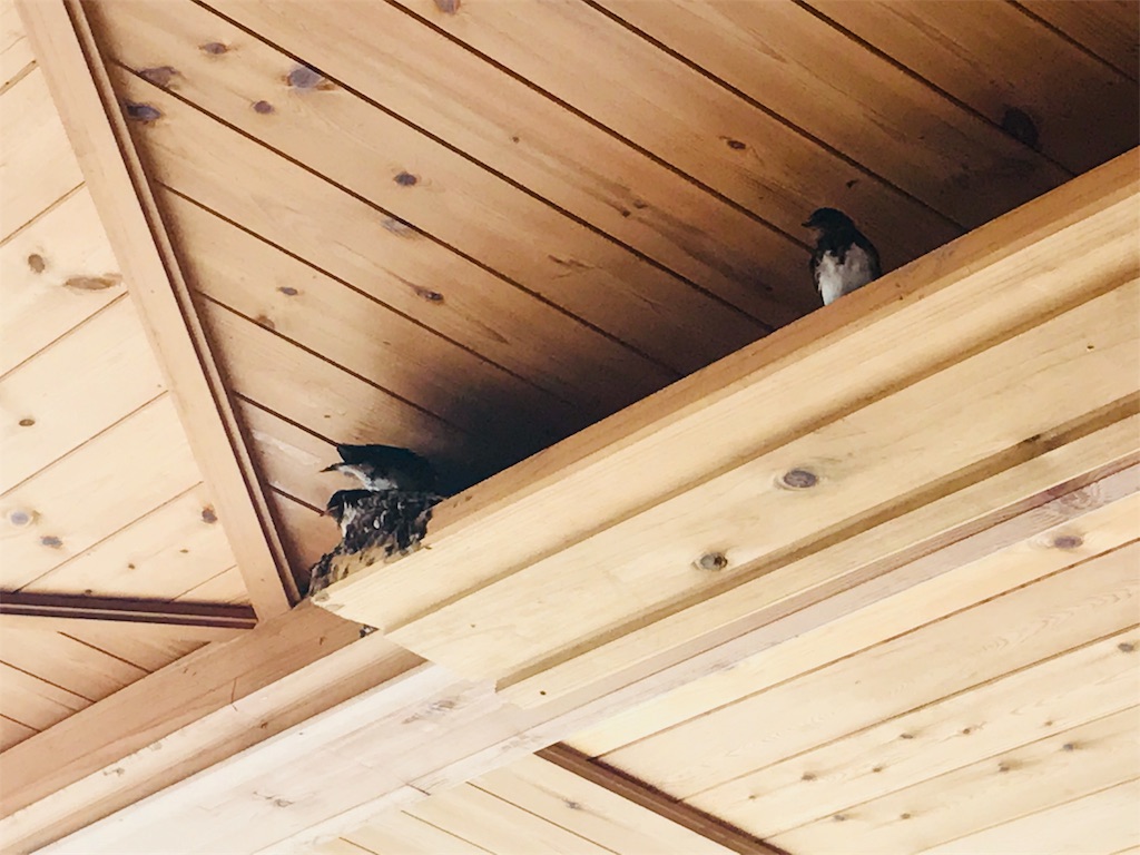 f:id:imimch:20180731081010j:image