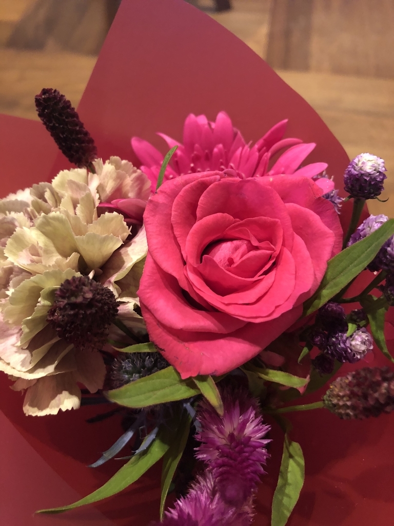 f:id:immatureflower:20181003122618j:plain f:id:immatureflower:20181003122618j:plain