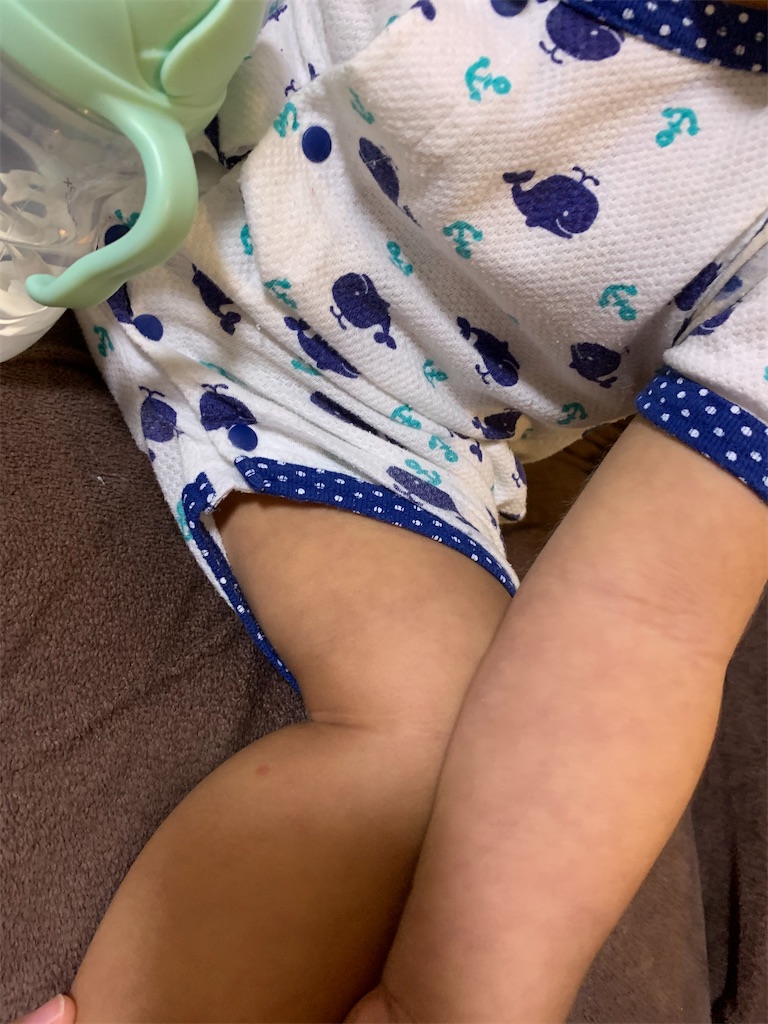 f:id:imo_h_m:20201219075504j:image