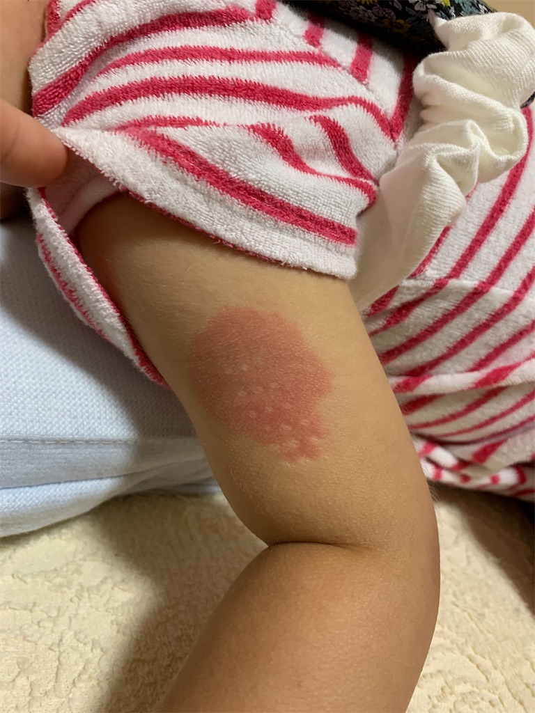 f:id:imo_h_m:20201219075555j:image