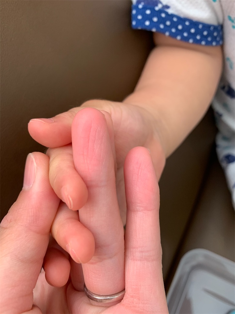 f:id:imo_h_m:20201219075927j:image