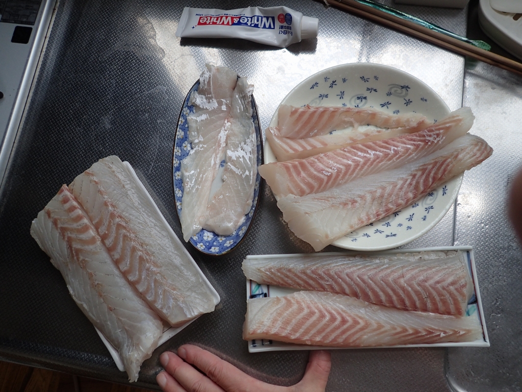 サーフでのショアジギング シーバス釣り いも工房