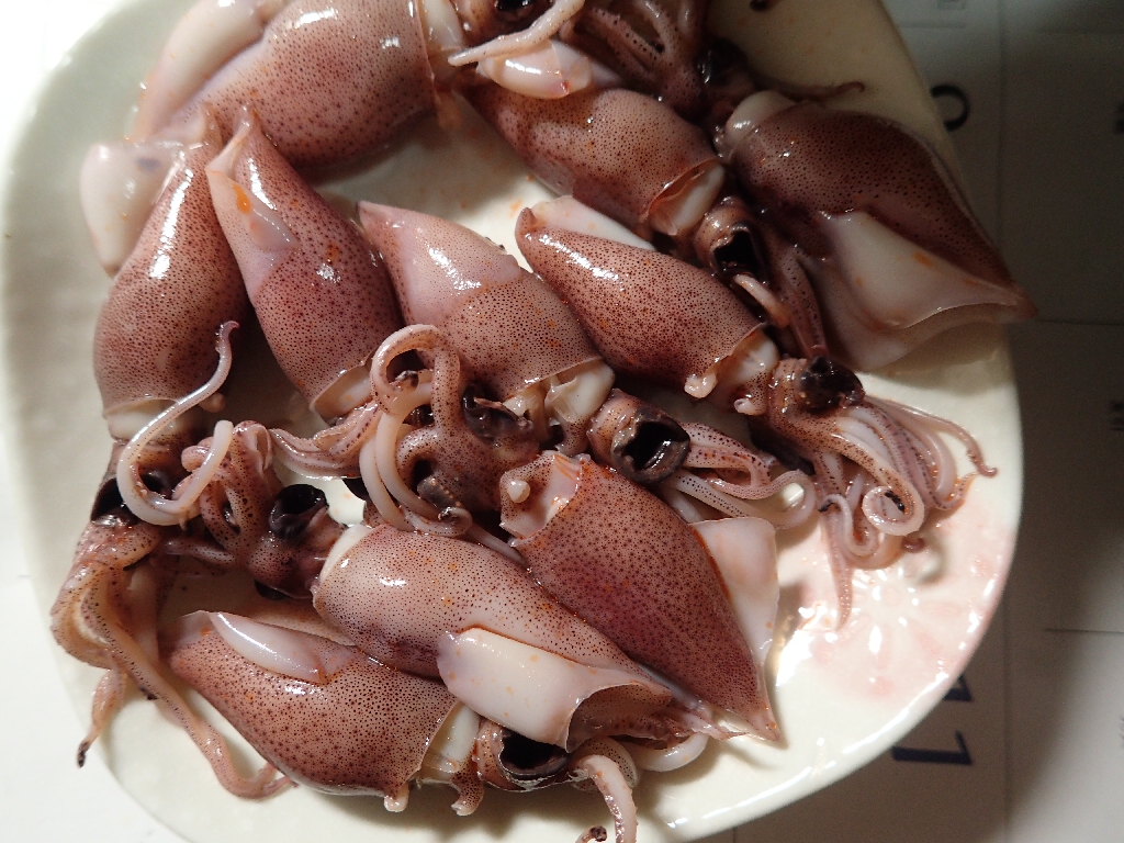 自分で採ったホタルイカの味 いも工房