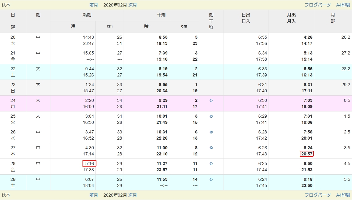 自分で採ったホタルイカの味 いも工房