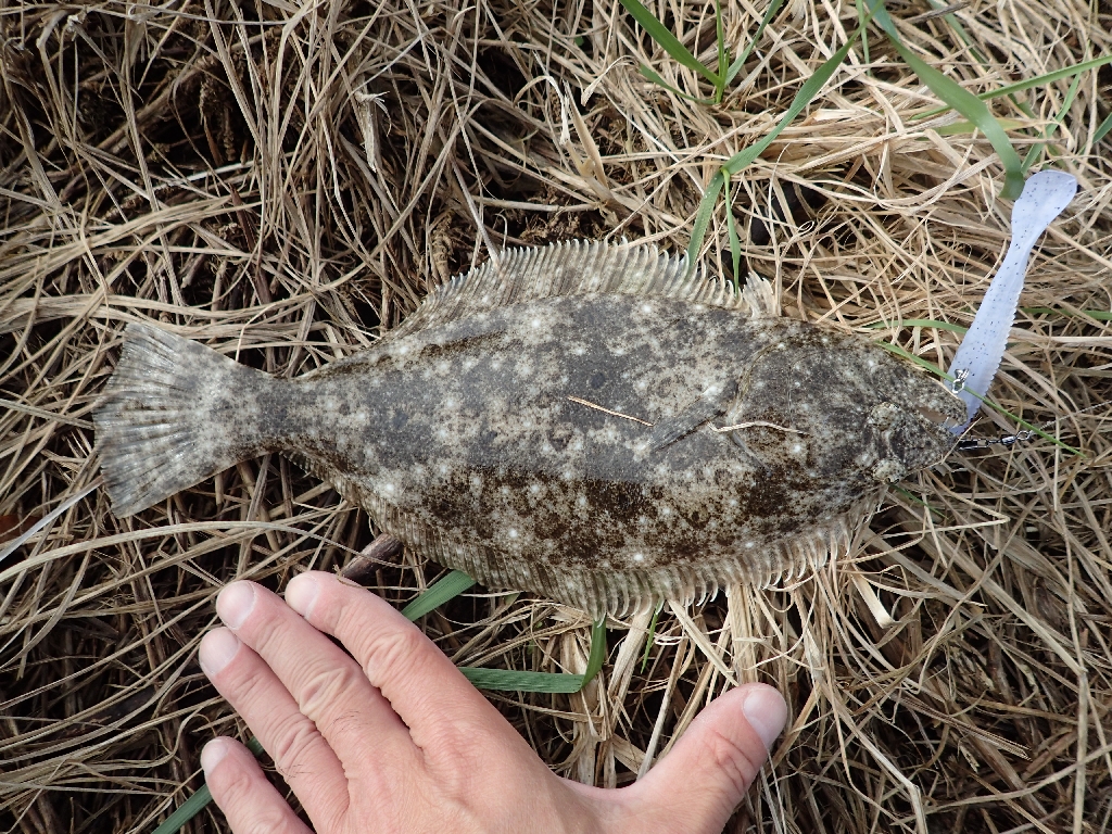 ソゲの浜 いも工房