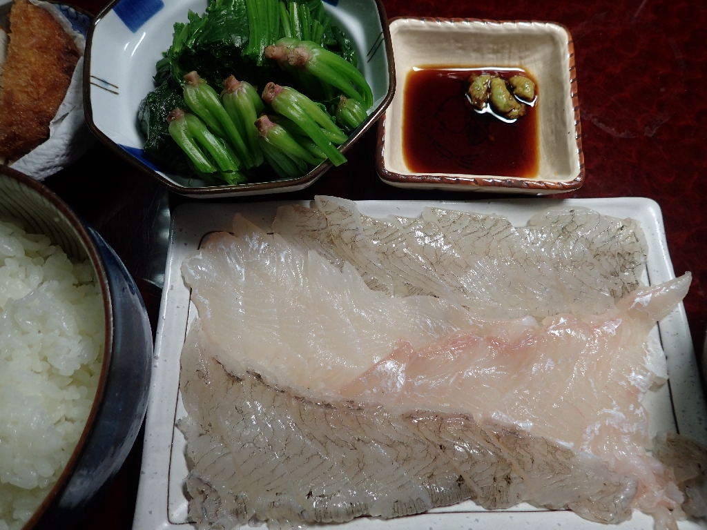 能登内浦 ヒラメ釣り 年11月28日 土 いも工房
