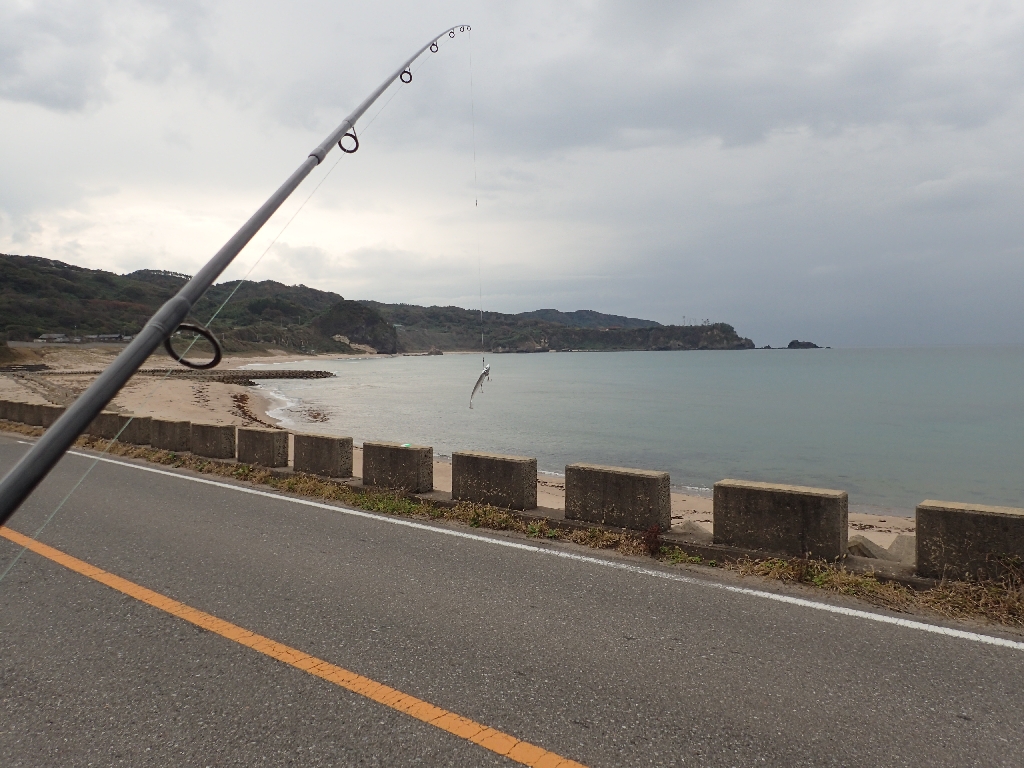 能登外浦の釣り