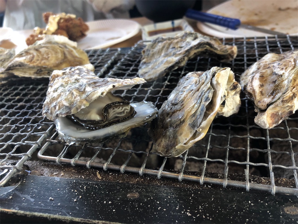 f:id:imoho:20190316221400j:image