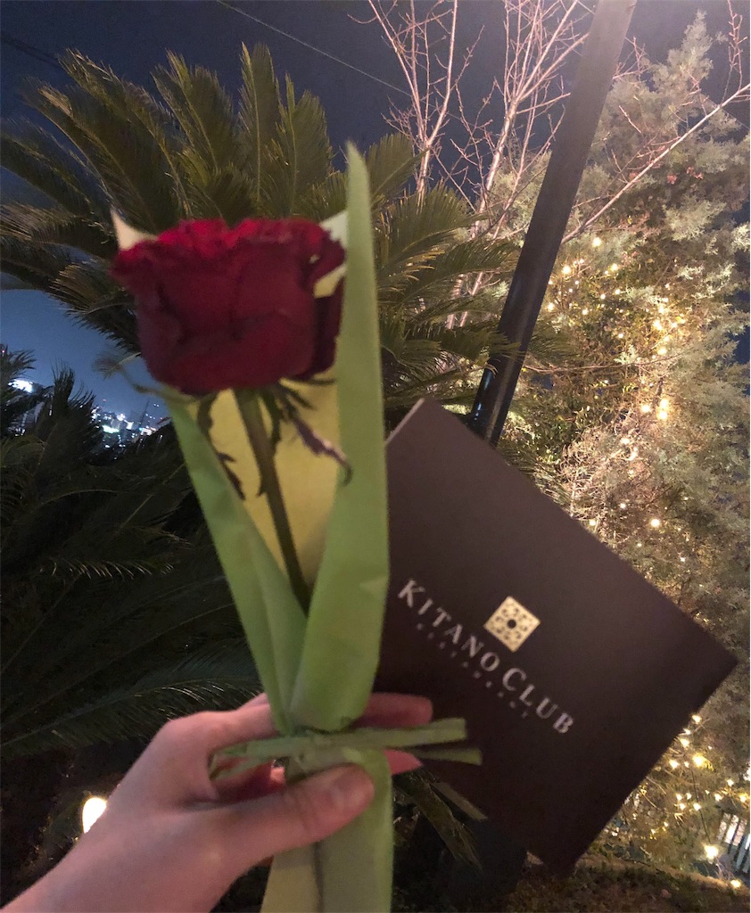 f:id:imoho:20190316223910j:image