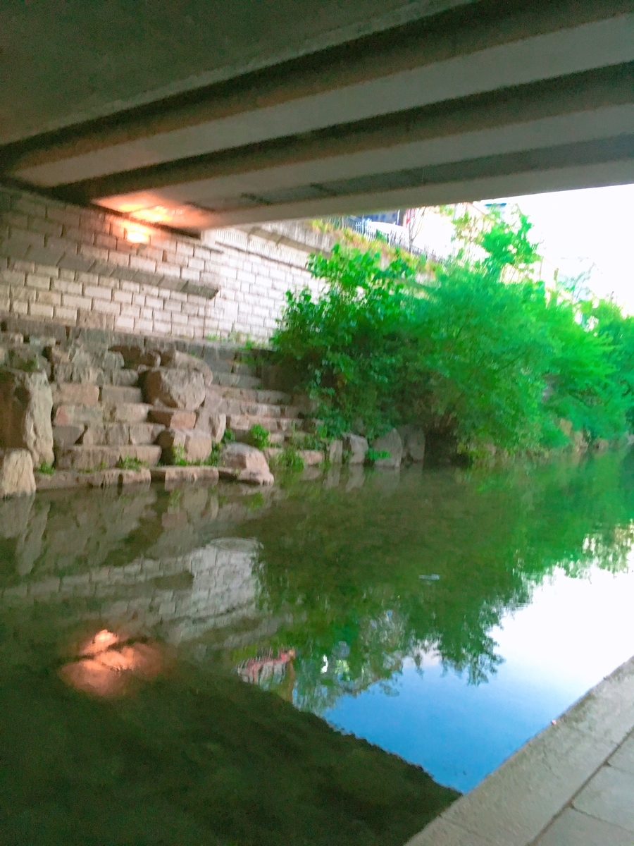 f:id:imoimoimoto:20190827182946j:plain f:id:imoimoimoto:20190827182946j:plain