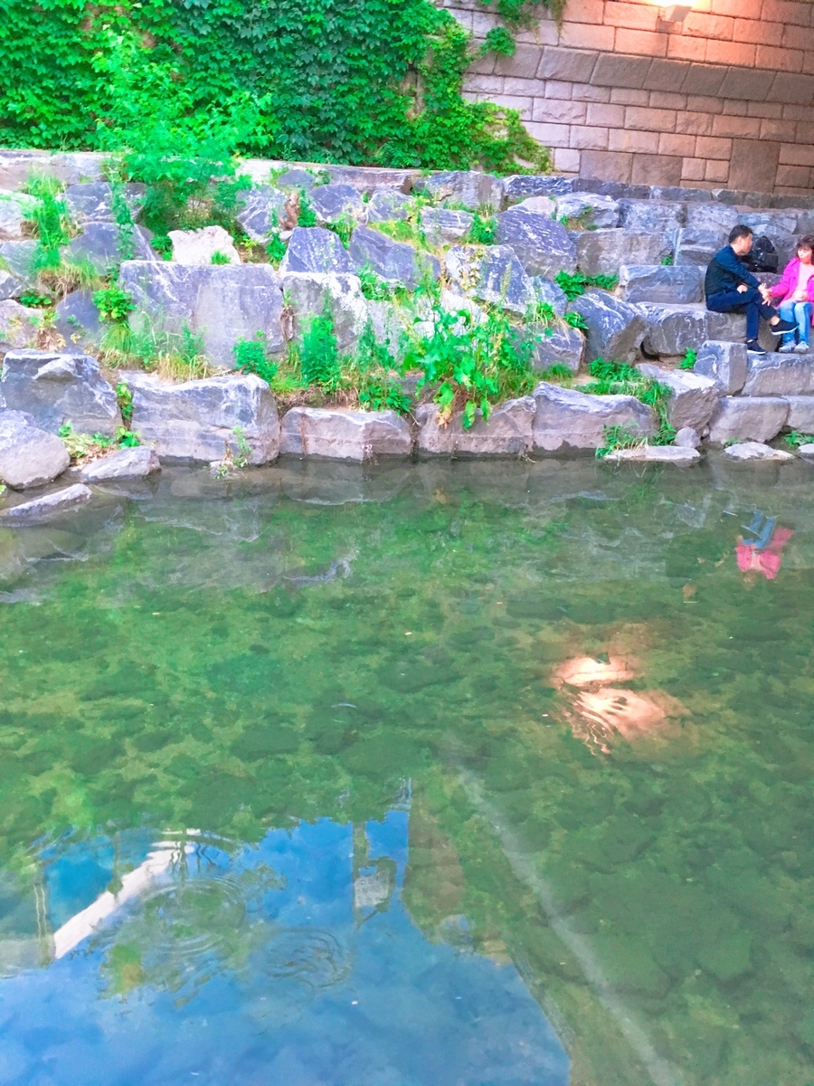 f:id:imoimoimoto:20190827183051j:plain f:id:imoimoimoto:20190827183051j:plain