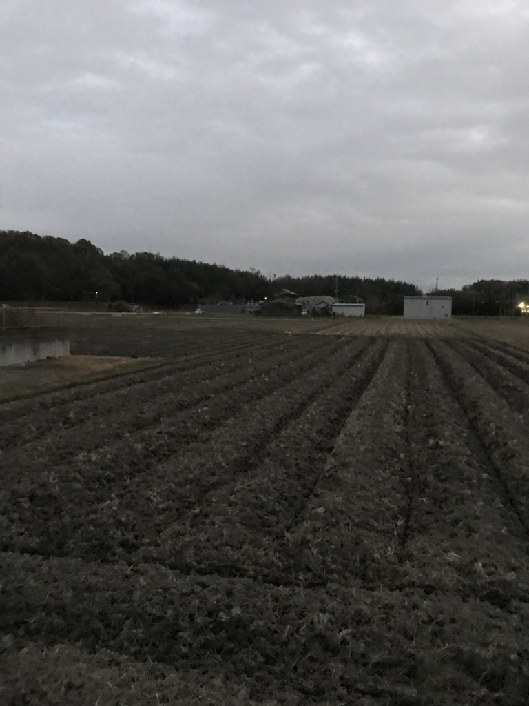 f:id:imokenpanic:20171210180815j:plain