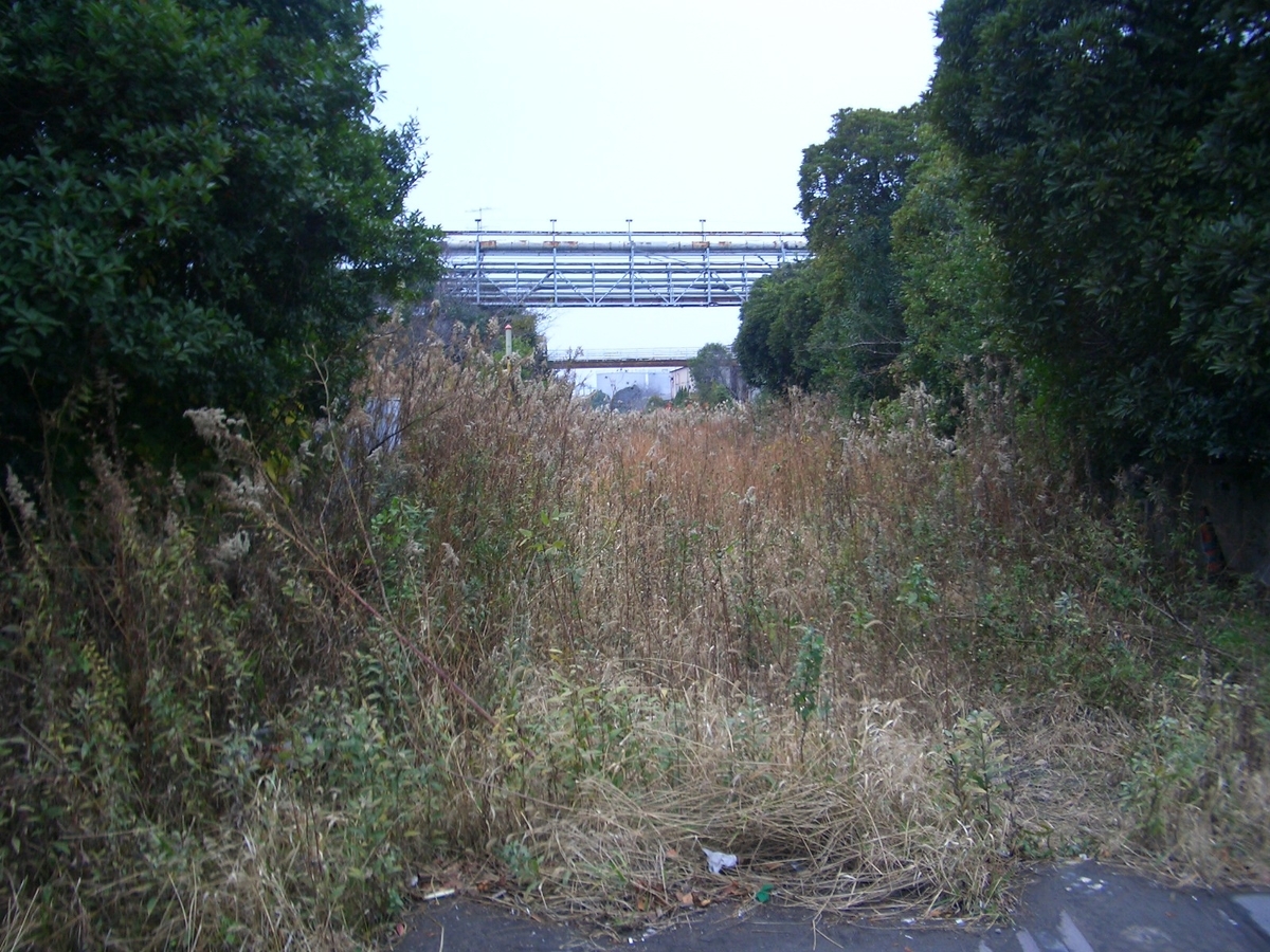 f:id:imoori:20200504141702j:plain