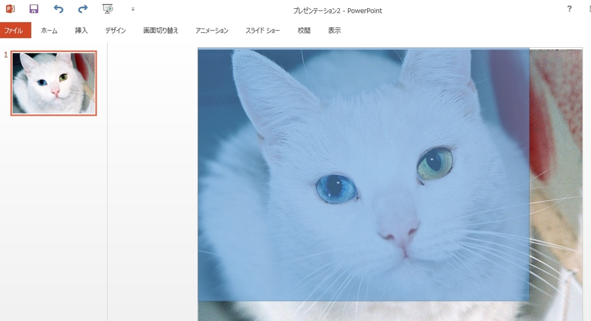 f:id:imorehaore:20200413000557j:plain