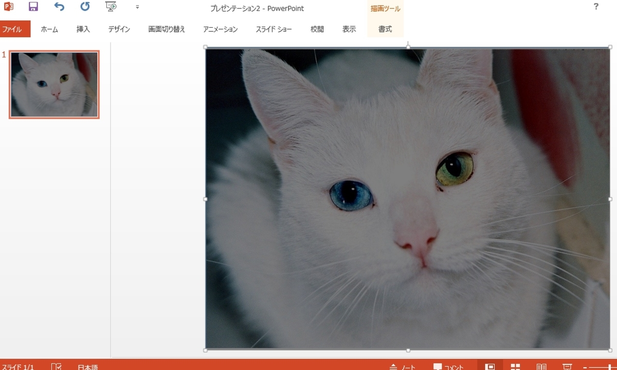 f:id:imorehaore:20200413002342j:plain