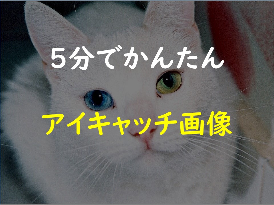 f:id:imorehaore:20200413003341j:plain