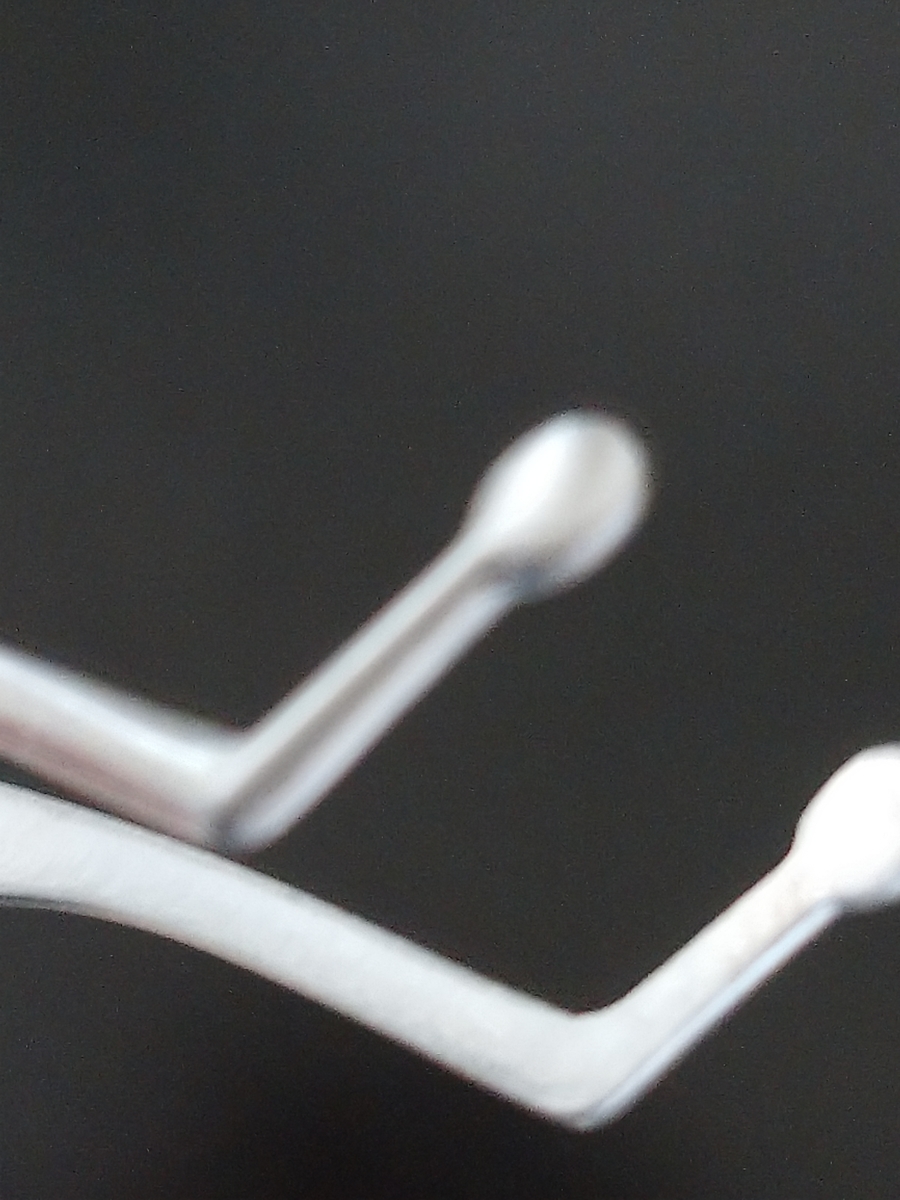 f:id:imorileopa:20220227162838j:plain