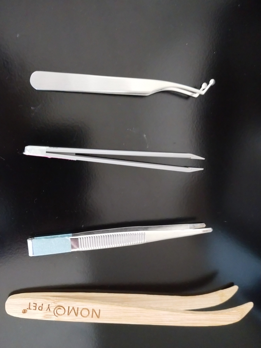 f:id:imorileopa:20220227163435j:plain