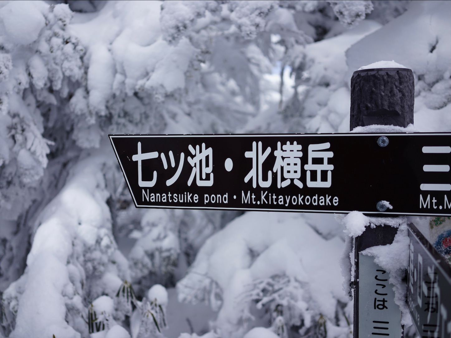 f:id:imosyo7:20201222092519j:image f:id:imosyo7:20201222092519j:image