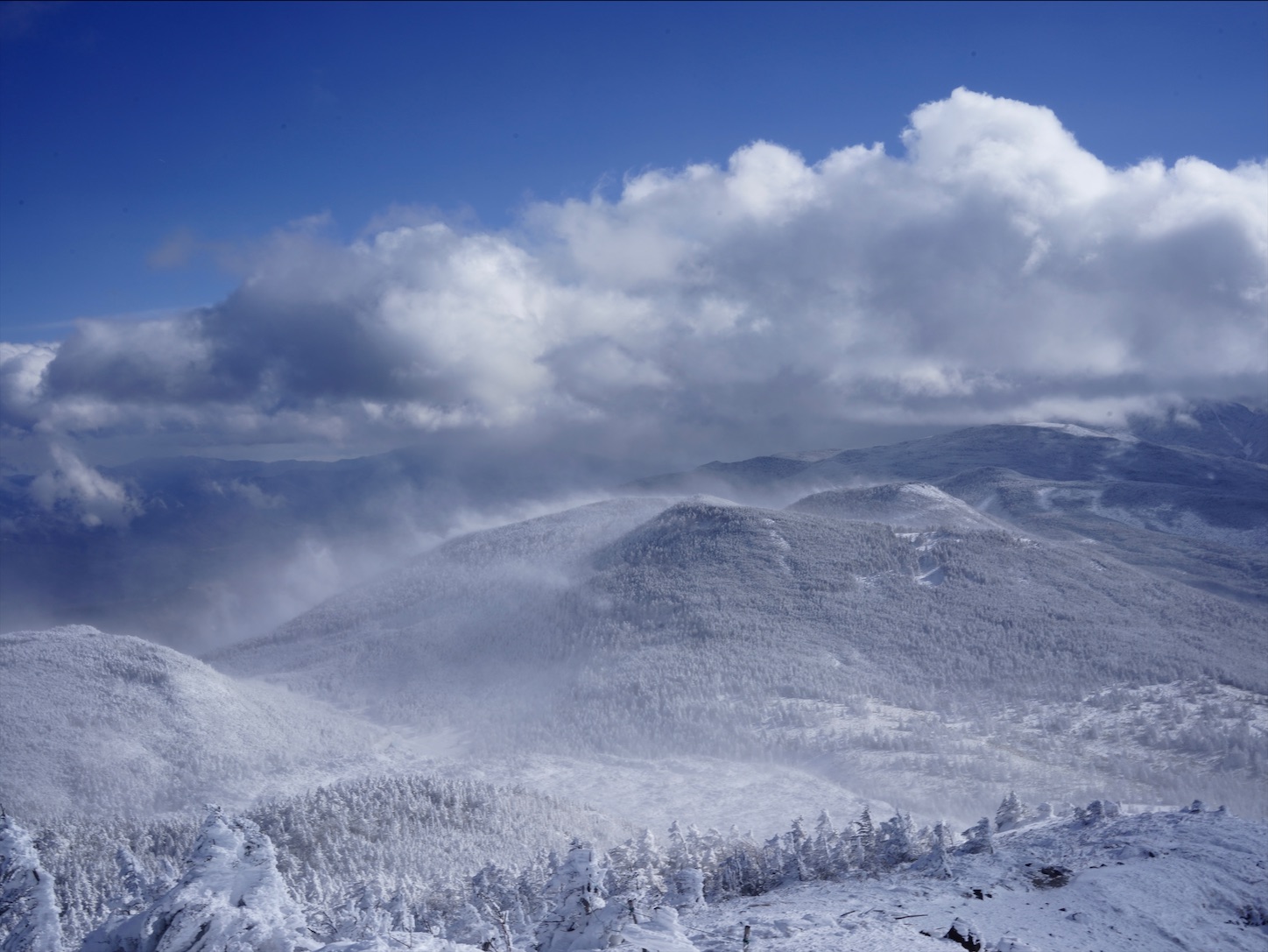 f:id:imosyo7:20201222093804j:image f:id:imosyo7:20201222093804j:image