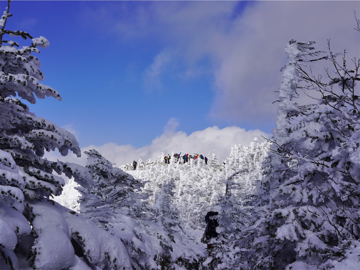 f:id:imosyo7:20201222094649j:image f:id:imosyo7:20201222094649j:image