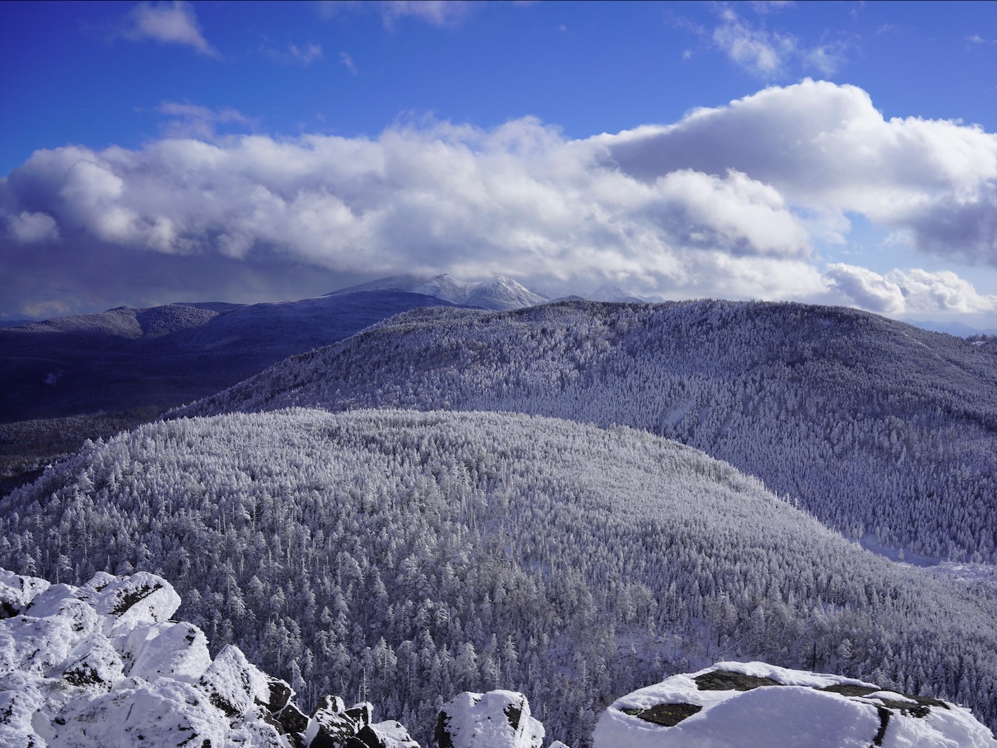 f:id:imosyo7:20201222100014j:image f:id:imosyo7:20201222100014j:image