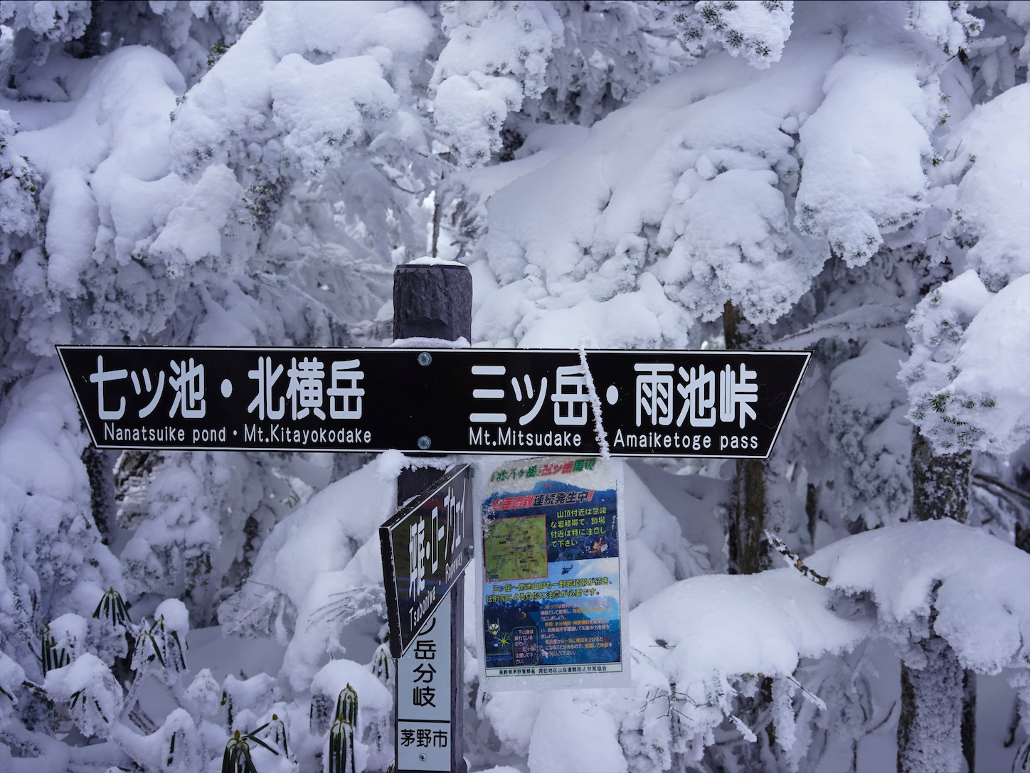 f:id:imosyo7:20201222100129j:image f:id:imosyo7:20201222100129j:image