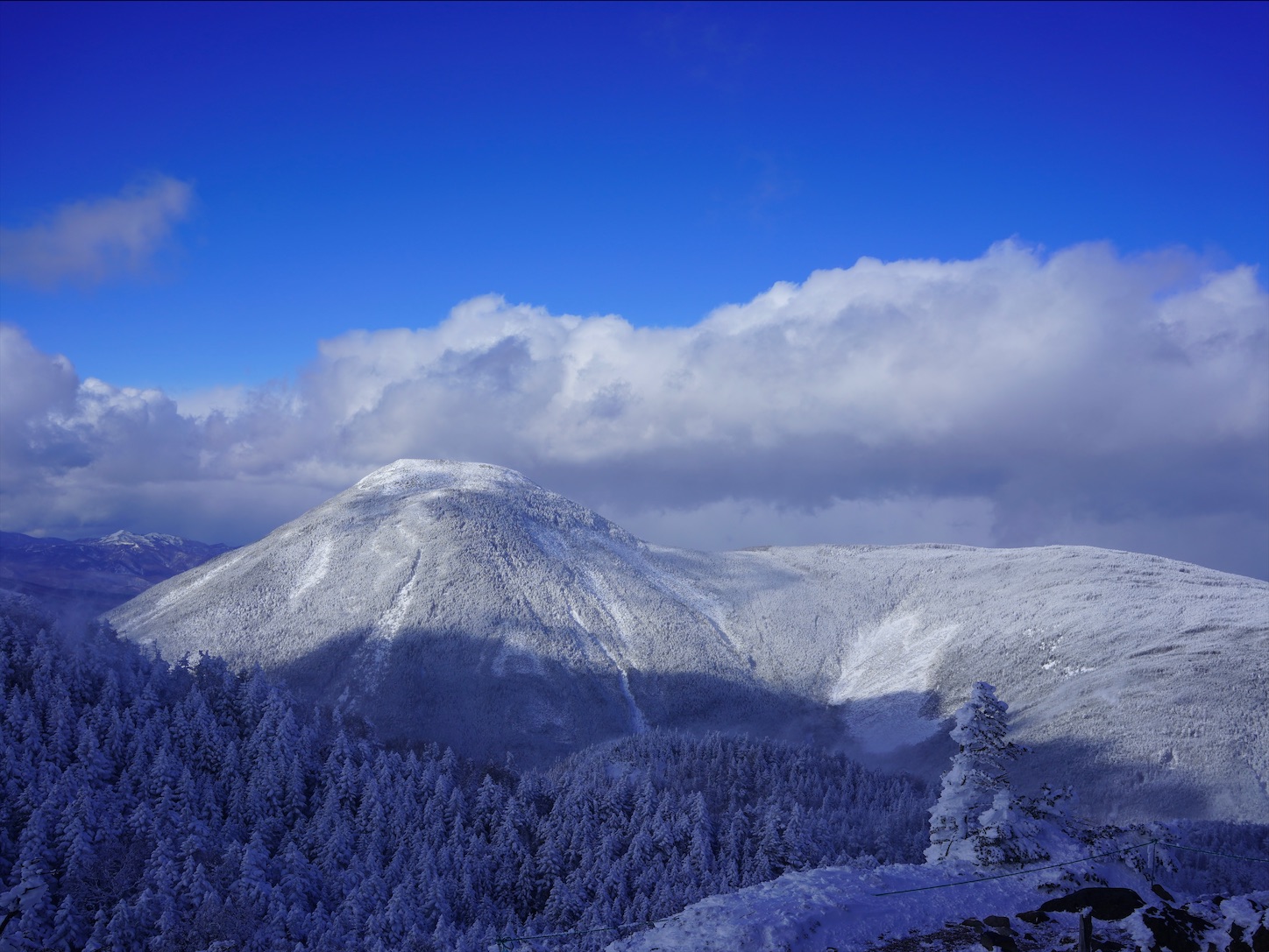 f:id:imosyo7:20201222101726j:image f:id:imosyo7:20201222101726j:image