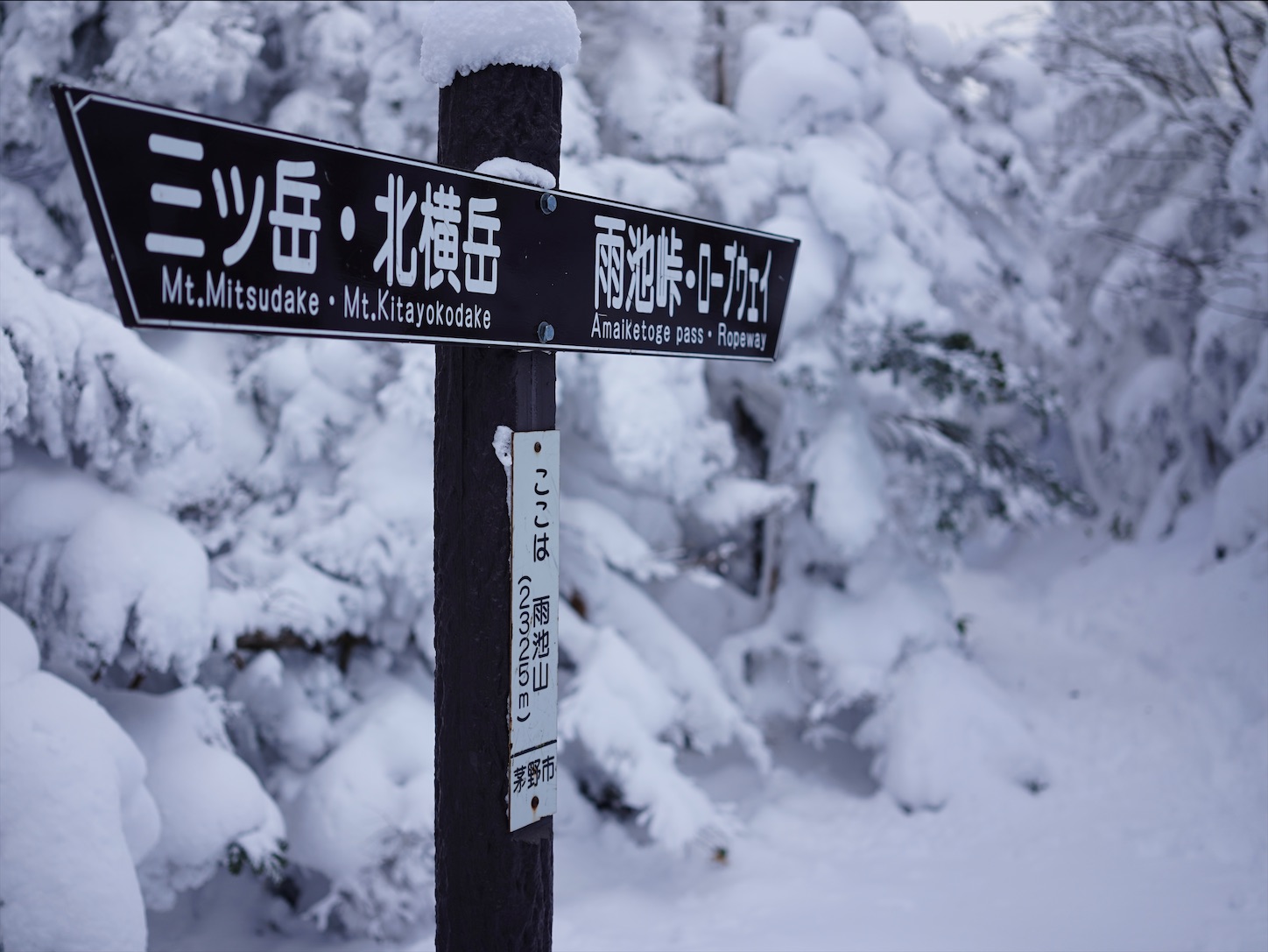 f:id:imosyo7:20201222104553j:image f:id:imosyo7:20201222104553j:image