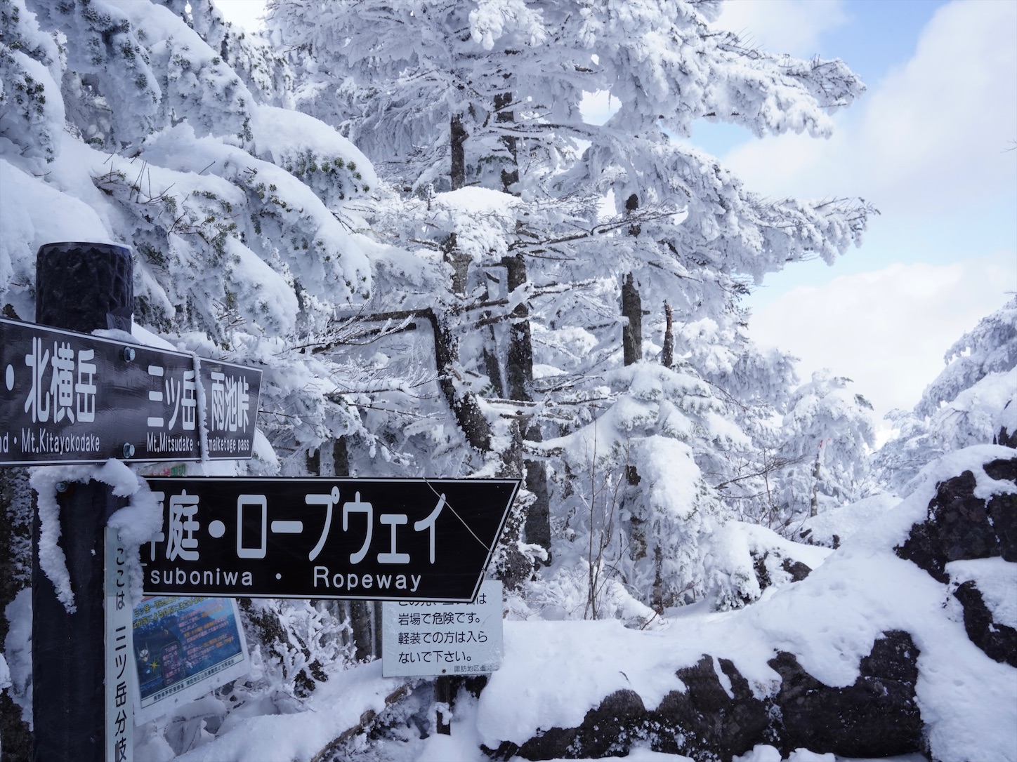 f:id:imosyo7:20201223182306j:image f:id:imosyo7:20201223182306j:image