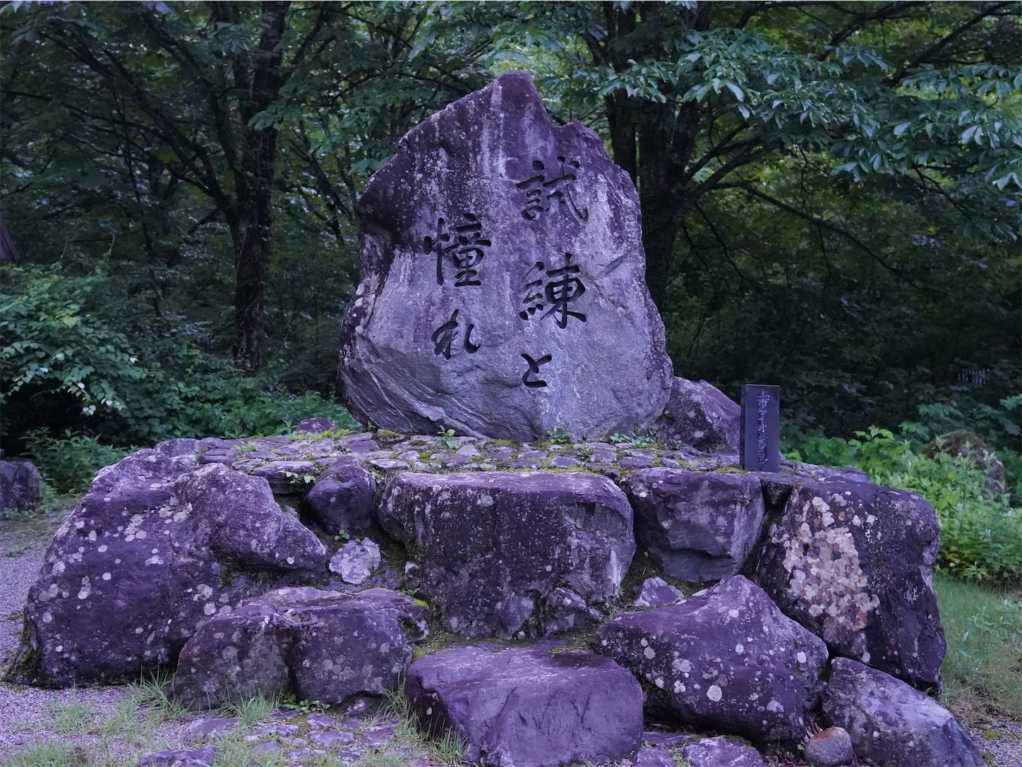 f:id:imosyo7:20210708062601j:image f:id:imosyo7:20210708062601j:image