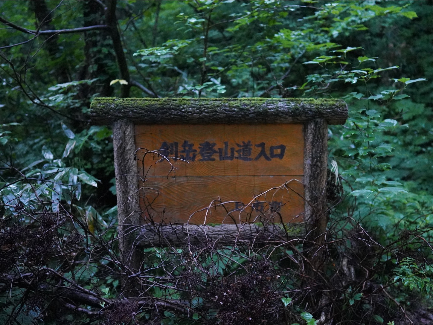 f:id:imosyo7:20210709221636j:image f:id:imosyo7:20210709221636j:image