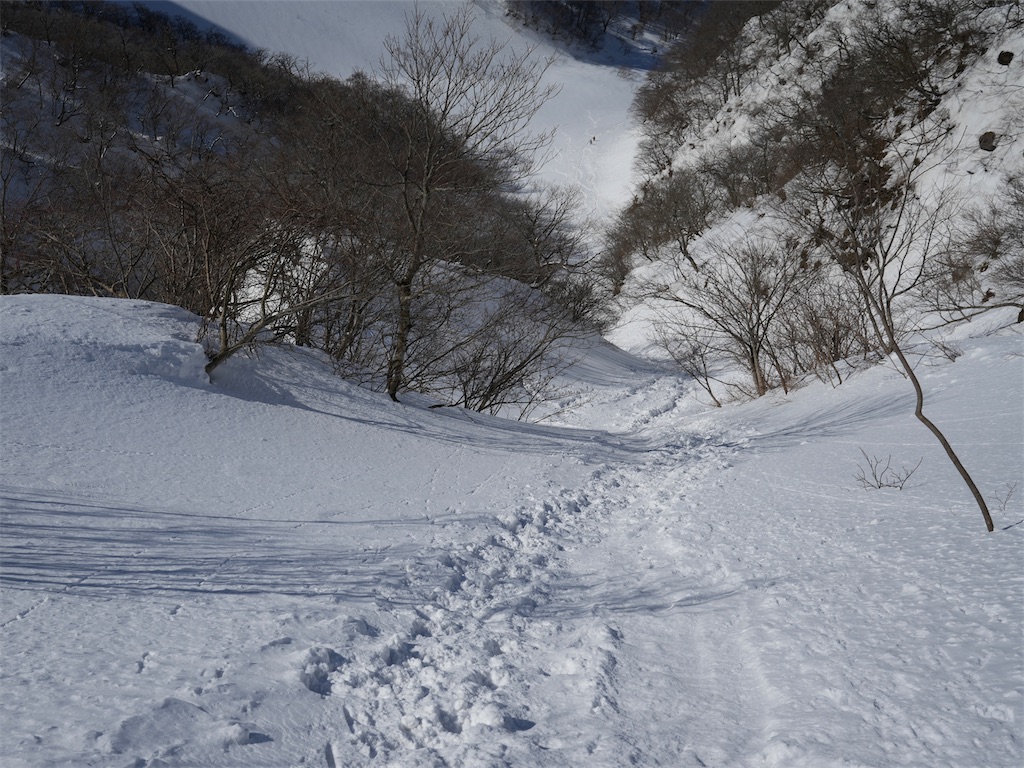 f:id:imosyo7:20230304114600j:image f:id:imosyo7:20230304114600j:image