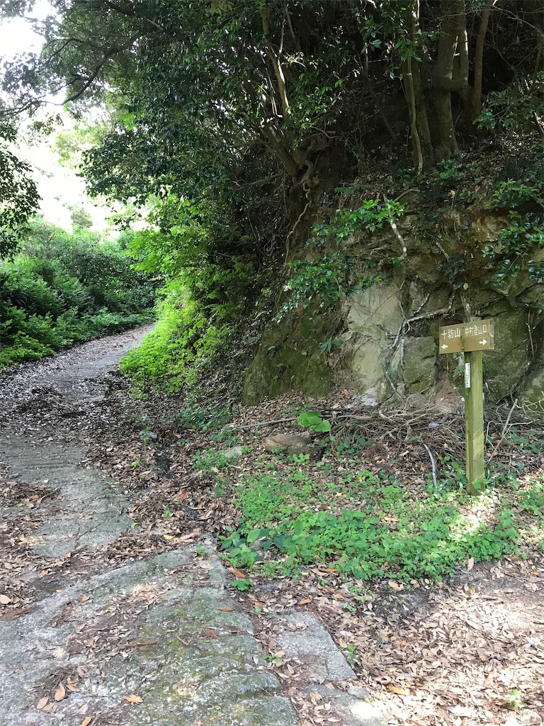 f:id:imototarow:20190615134647j:image