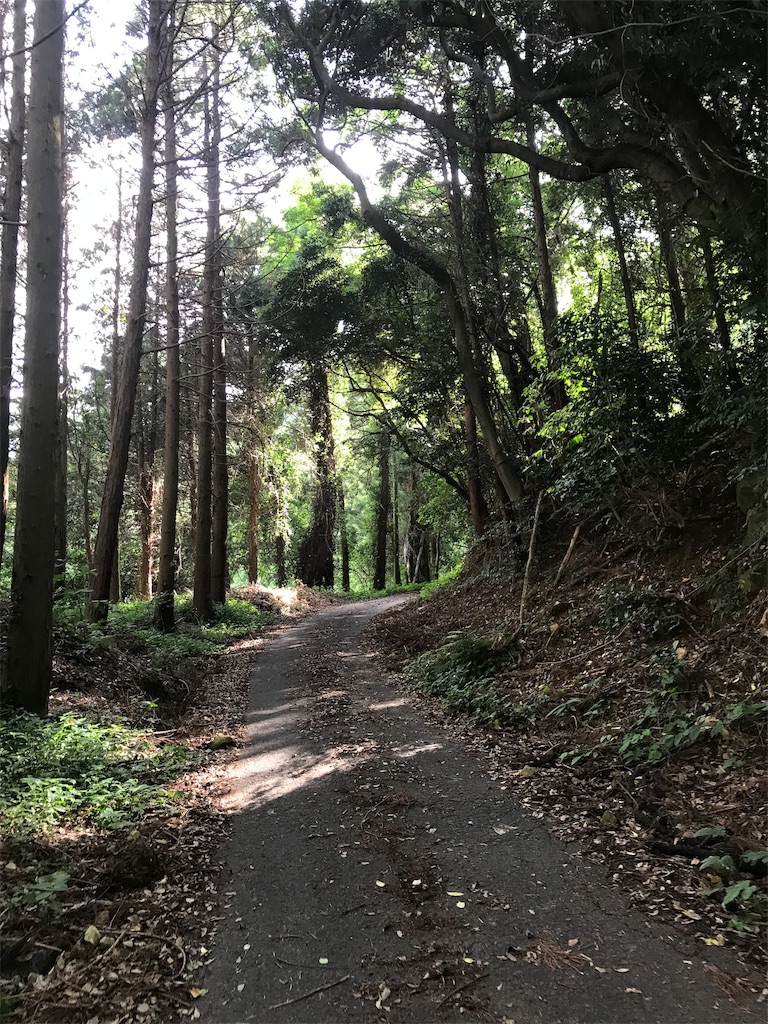 f:id:imototarow:20190615134918j:image