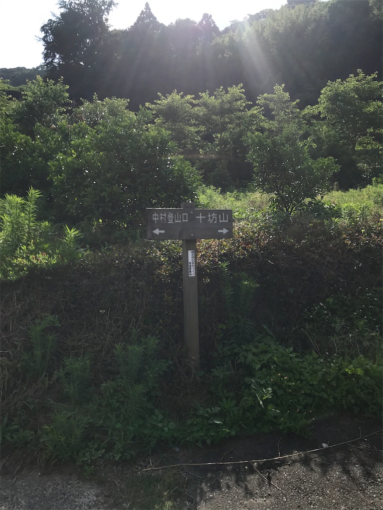 f:id:imototarow:20190615135004j:image