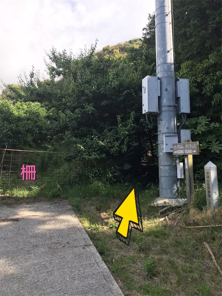 f:id:imototarow:20190615144517j:image